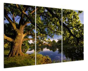 Obrázek stromu - moderní obrazy (120x80cm)