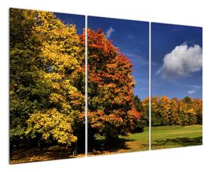 Podzimní stromy - moderní obraz (120x80cm)