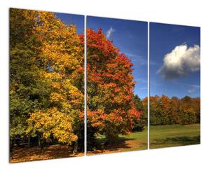 Podzimní stromy - obraz (120x80cm)