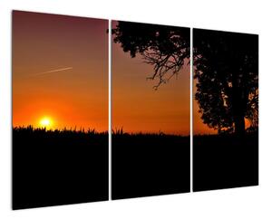 Obraz západu slunce (120x80cm)