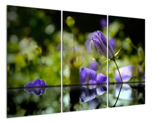 Modrá květina - obraz (120x80cm)