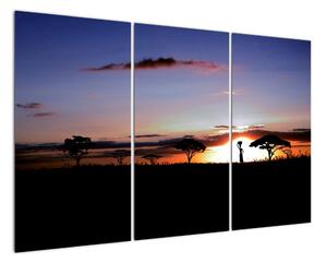 Západ slunce - obraz (120x80cm)