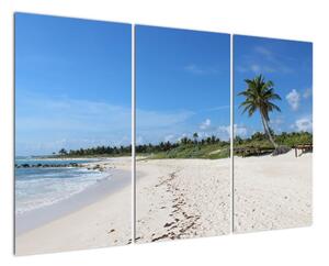 Exotická pláž - obraz (120x80cm)