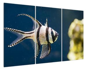 Ryba - obraz (120x80cm)