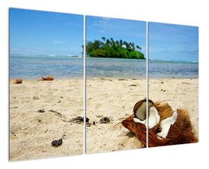 Pláž - obraz (120x80cm)