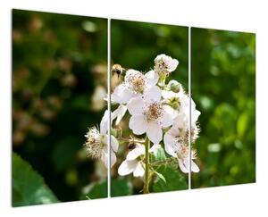 Květina - obraz (120x80cm)