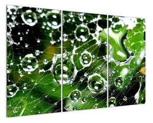 Kapky vody - obrazy (120x80cm)