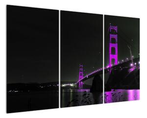 Golden Gate Bridge - obrazy (120x80cm)