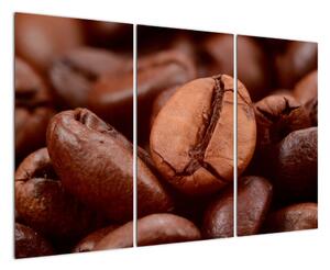 Kávové zrnko - obraz (120x80cm)