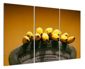 Banány na váze - obraz na zeď (120x80cm)