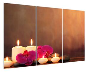 Obraz svíčky (120x80cm)