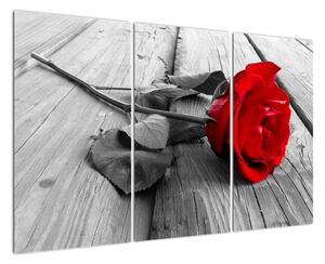 Růže červená - obraz (120x80cm)
