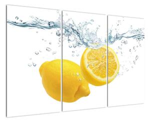 Citron- Obraz (120x80cm)