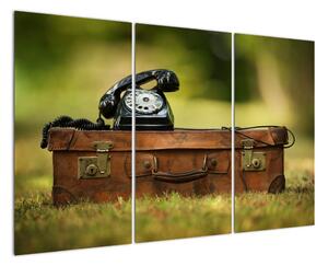 Telefon na kufru - obraz (120x80cm)