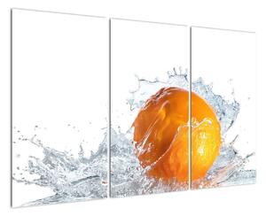 Obraz pomeranče (120x80cm)