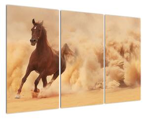 Cválající kůň - obraz (120x80cm)