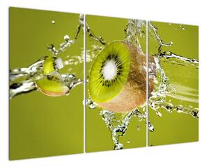 Kiwi - obraz (120x80cm)