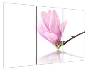 Květ - obraz (120x80cm)
