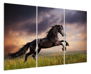 Kůň - obraz (120x80cm)