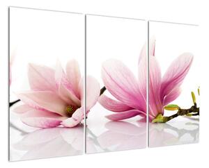 Květina - obraz (120x80cm)