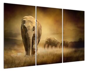 Obraz slona (120x80cm)
