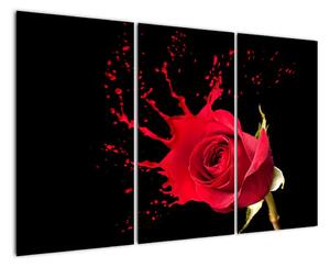 Abstraktní obraz růže - obraz (120x80cm)