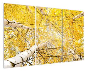 Podzimní listí - moderní obraz (120x80cm)