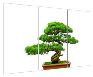 Bonsai - moderní obraz (120x80cm)