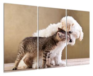 Kotě a štěně - obraz (120x80cm)