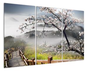 Sakura - obraz (120x80cm)