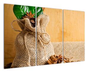 Fotka kávových zrn a skořice - obraz (120x80cm)