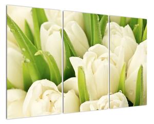 Detail tulipánů - obraz (120x80cm)