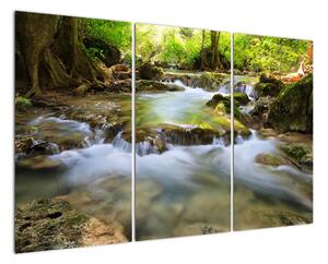 Řeka v lese - obraz (120x80cm)