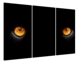 Zvířecí oči - obraz (120x80cm)