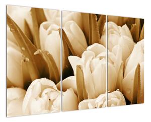 Obraz tulipánů (120x80cm)