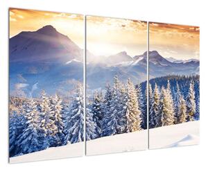 Fotka zimní krajiny - obraz (120x80cm)