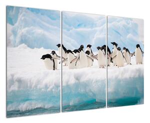Tučňáci - obraz (120x80cm)