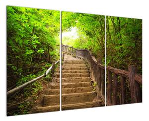 Schody v lese - obraz (120x80cm)
