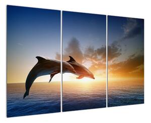 Delfíni - obraz (120x80cm)