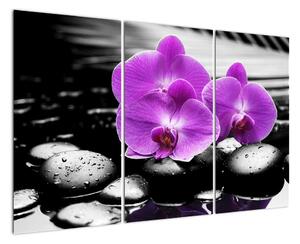 Obraz orchidejí (120x80cm)
