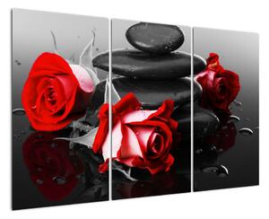 Obraz růží (120x80cm)