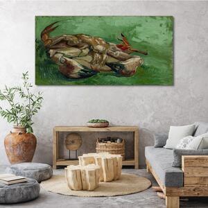 Obraz na plátně Obraz na plátně Krab na zádech Van Gogh