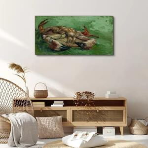 Obraz na plátně Obraz na plátně Krab na zádech Van Gogh