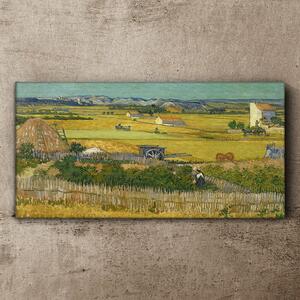 Obraz na plátně Obraz na plátně Sklizeň van Gogh