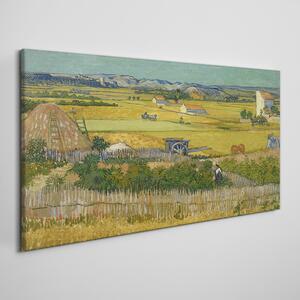 Obraz na plátně Obraz na plátně Sklizeň van Gogh