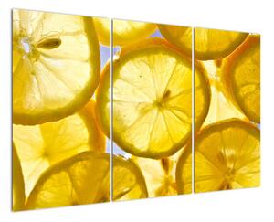 Plátky citrónů - obraz (120x80cm)