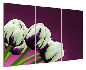 Makro tulipánů - obraz (120x80cm)