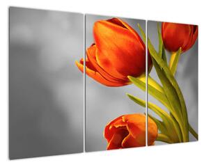 Obraz tulipánů (120x80cm)