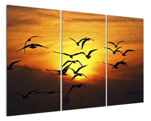 Obraz letících ptáků (120x80cm)