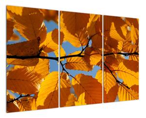 Podzimní listí - obraz (120x80cm)